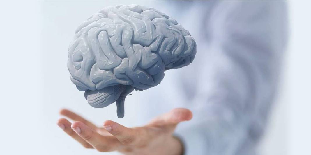 Ne balık ne ceviz! Beyin sağlığı için bilim insanları bunu öneriyor: Bir çay kaşığı bile yemek yeterli 3